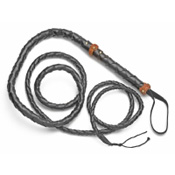 Long Bullwhip