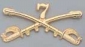  Custer's Insignia Seventh Cavalry